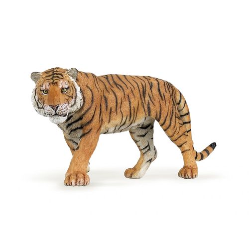 La Vie Sauvage Tigre