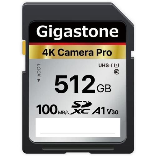 Gigastone 512 Go Carte SD Camera Plus, Carte mémoire SDXC V30 Haute Vitesse  vidéo UHD Compatible avec Appareil Photo numérique Canon, Nikon, Sony,  Pentax, Kodak, Panasonic, avec 1 Mini étui : : Informatique