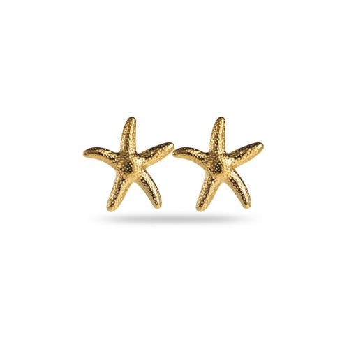 Boucles D'oreilles Étoile De Mer