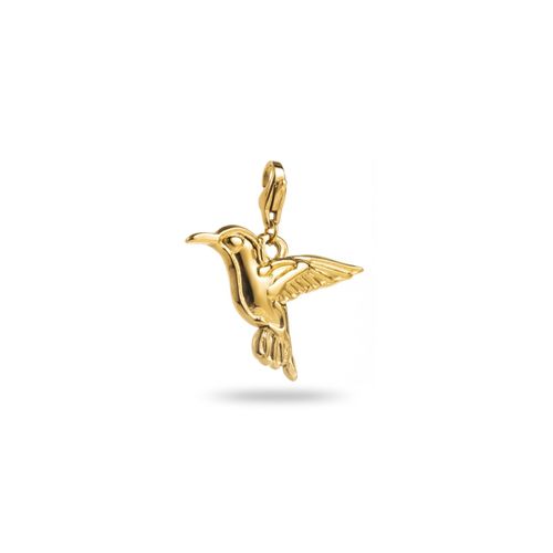 Charm Colibri