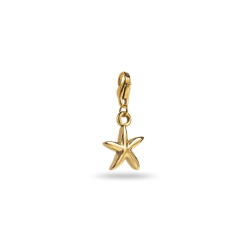 Charm Étoile De Mer