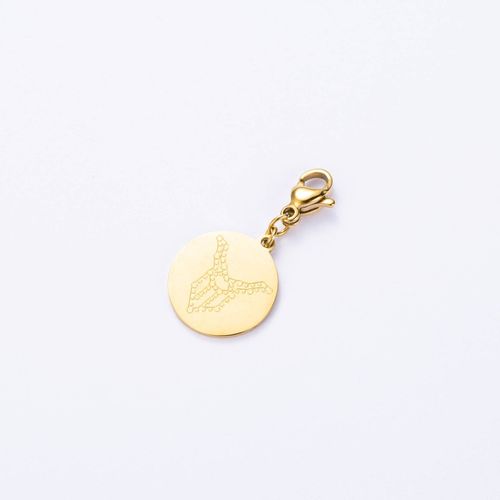 Charm Signe Astrologique Capricorne