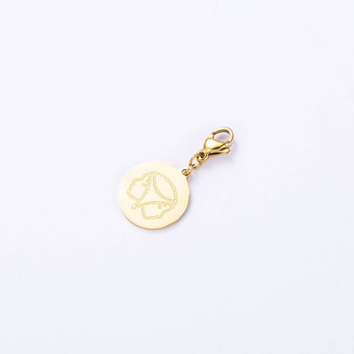 Charm Signe Astrologique Gémeaux