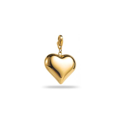 Charm C?ur