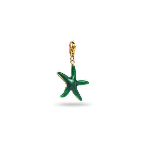 Charm Étoile De Mer Verte