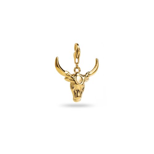 Charm Taureau