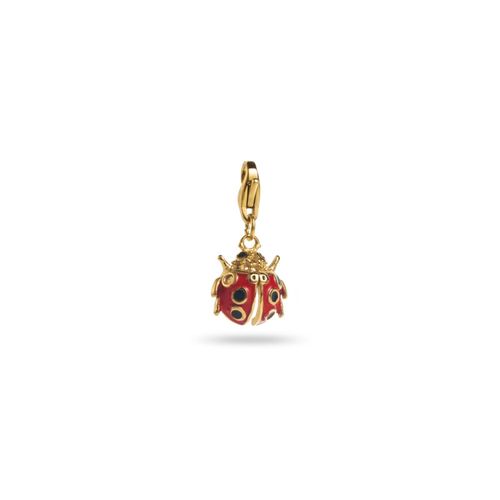 Charm Coccinelle