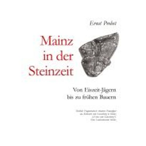 Mainz In Der Steinzeit
