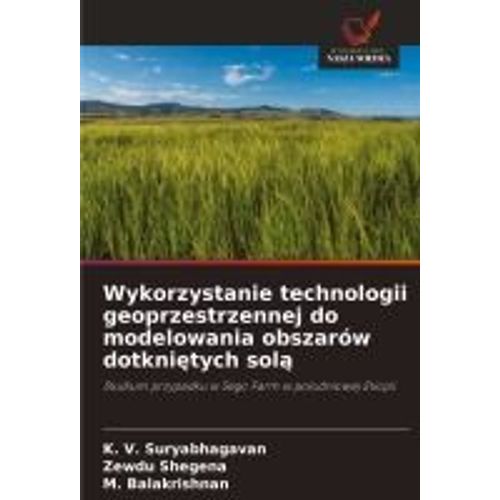 Wykorzystanie Technologii Geoprzestrzennej Do Modelowania Obszarów Dotkni¿Tych Sol¿