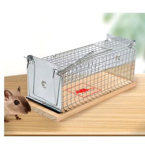 Piège À Souris Cage En Grillage