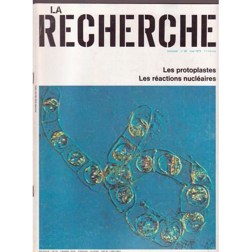 La Recherche  N° 56 : Les Protoplastes + Les Réactions Nucléaires + Les Enzymes Immobilisées + Les Activités Innées Du Nourrisson