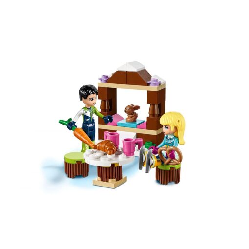 Lego Friends - La Patinoire De La Station De Ski - 41322 - 4