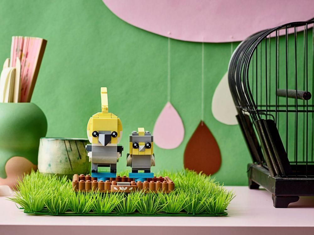Lego Brickheadz - La Perruche Calopsitte - 40481 - 4