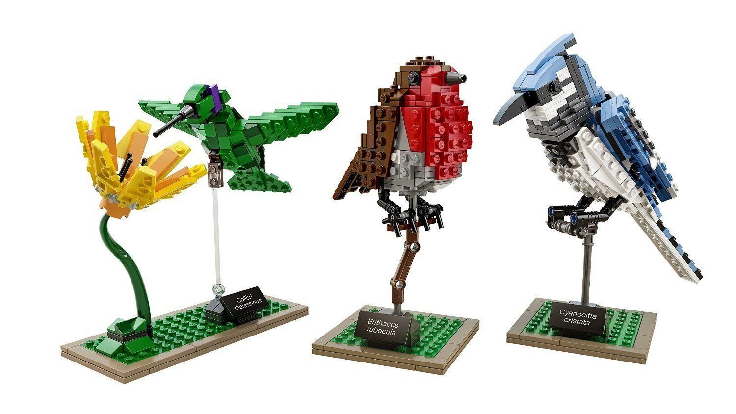 Lego Ideas - Les Oiseaux - 21301 - 3