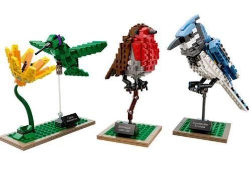 Lego Ideas - Les Oiseaux - 21301 - 7