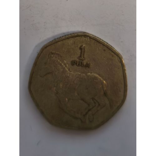 Monnaie Botswana 1 Pula 1991