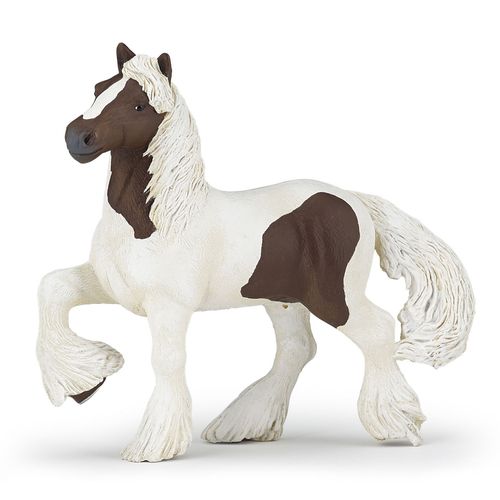 Chevaux, Poulains Et Poneys Cob Irlandais Pie Bai