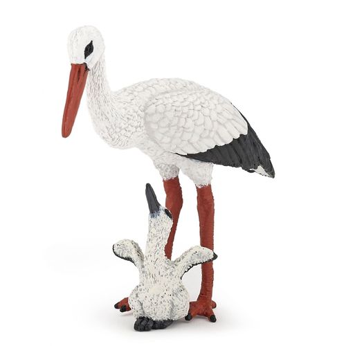 La Vie Sauvage Cigogne Et Son Bébé