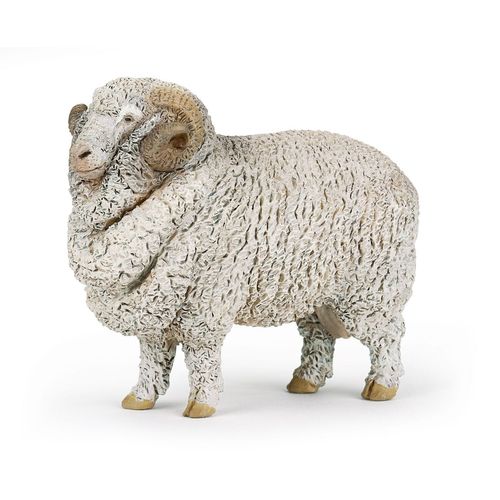 La Vie A La Ferme Mouton Merinos