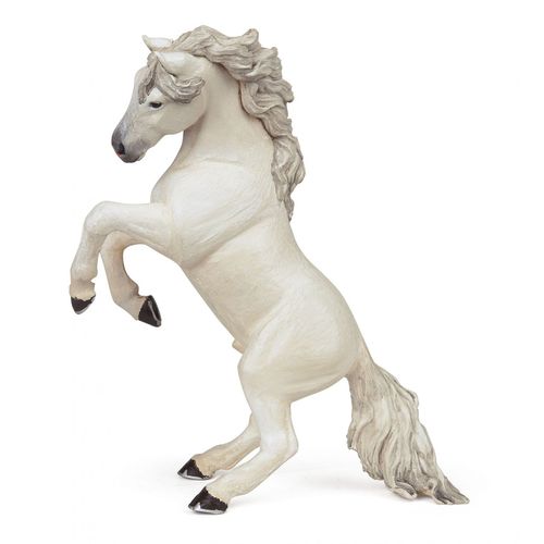 Chevaux, Poulains Et Poneys Cheval Cabré Blanc