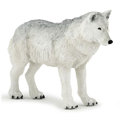 La Vie Sauvage Loup Polaire