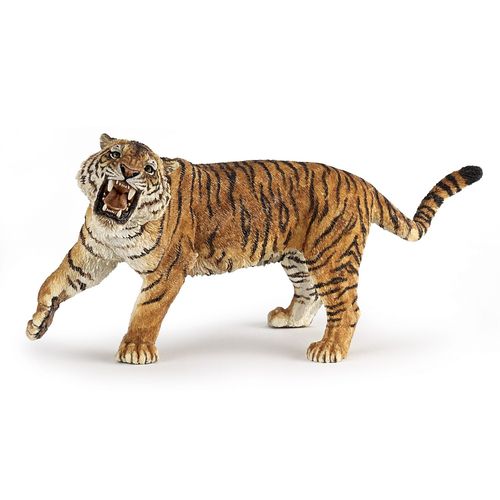 La Vie Sauvage Tigre Rugissant