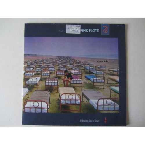 A Momentary Lapse Of Reason