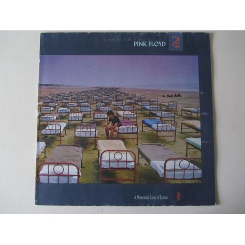 A Momentary Lapse Of Reason