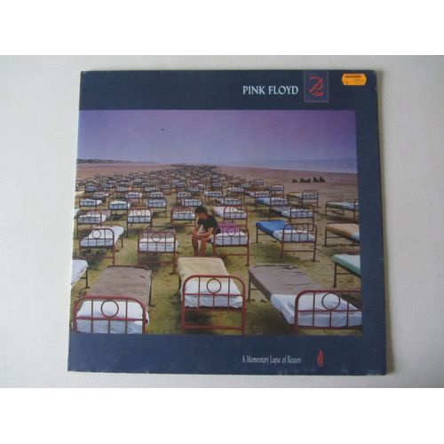 A Momentary Lapse Of Reason