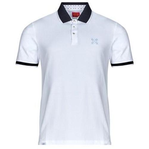 Polo Oxbow P0nachem Blanc