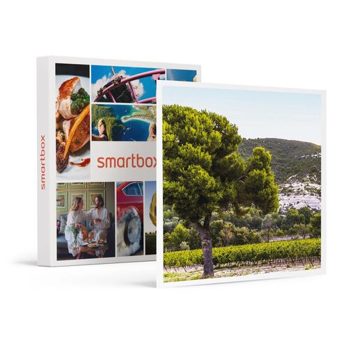 Box ?Nologie : 6 Bouteilles De Vin Rosé Livrées À Domicile - Smartbox - Coffret Cadeau Gastronomie