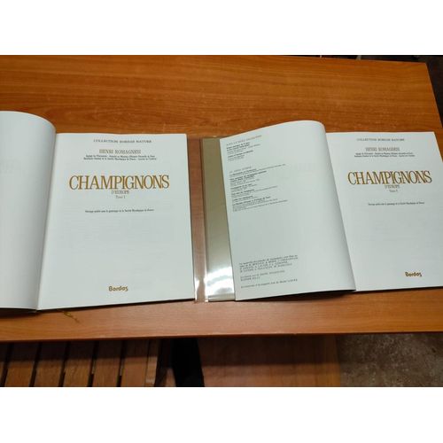Champignons D'europe