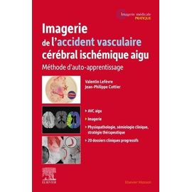 Imagerie De L'accident Vasculaire Cérébral Ischémique Aigu - Méthode D'auto-Apprentissage