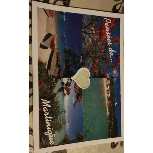 Pensées De Martinique - Flamboyant, Les Anses D' Arlet, Le Diamant - Une Carte Postale Écrite, Non Affranchie