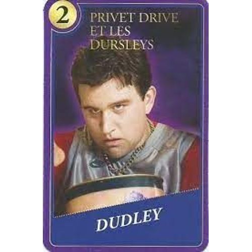 Carte Harry Potter Moments Magiques Dudley