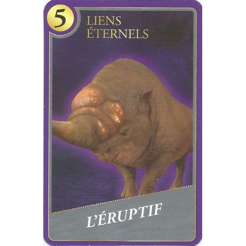 Carte Harry Potter Moments Magiques L'éruptif