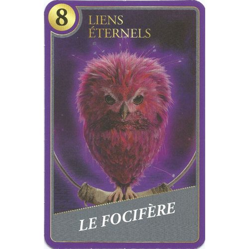 Carte Harry Potter Moments Magiques Le Focifère