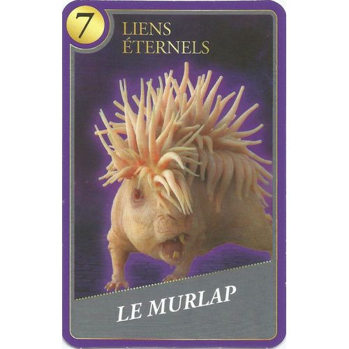 Carte Harry Potter Moments Magiques Le Murlap