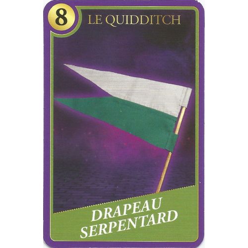Carte Harry Potter Moments Magiques Drapeau Serpentard