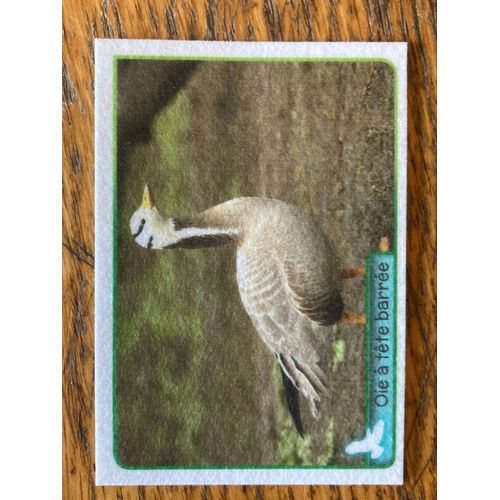 (546) Image Panini 37 Animaux 2014/2015 