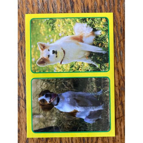 (4149) Image Panini 327ab Animaux 2014/2015 