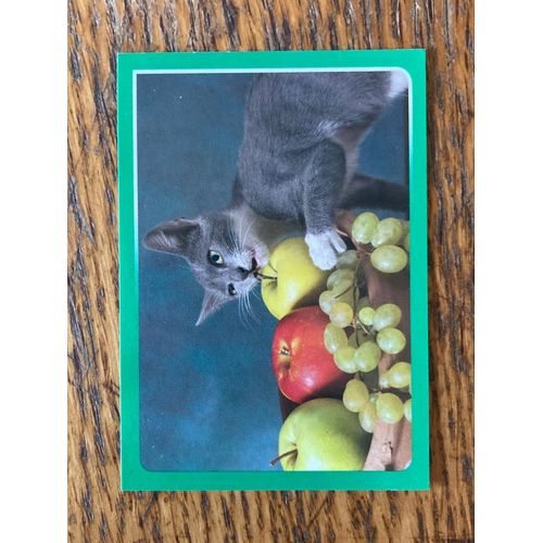(4174) Image Panini 308 Animaux 2014/2015 