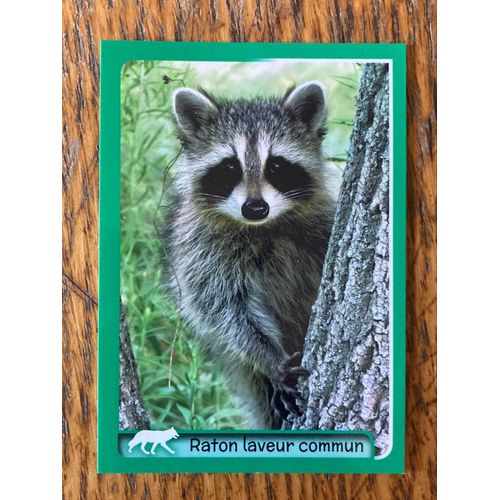 (4415) Image Panini 159 Animaux 2014/2015 