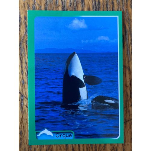 (3876) Image Panini 266 Animaux 2014/2015 