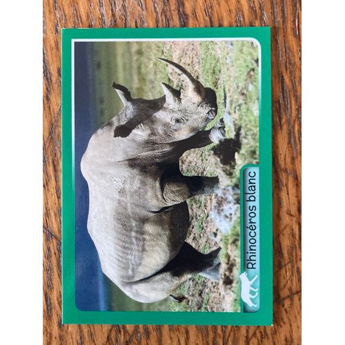 (4242) Image Panini 114 Animaux 2014/2015 