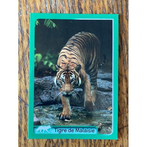 (4150) Image Panini 93 Animaux 2014/2015 