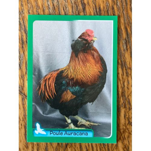 (3811) Image Panini 335 Animaux 2014/2015 