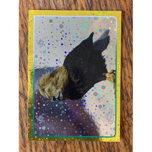 (4407) Image Panini 203 Animaux 2014/2015 