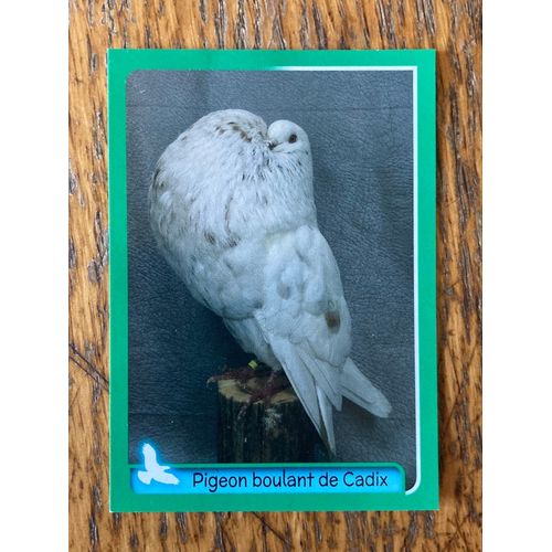 (4374) Image Panini 366 Animaux 2014/2015 