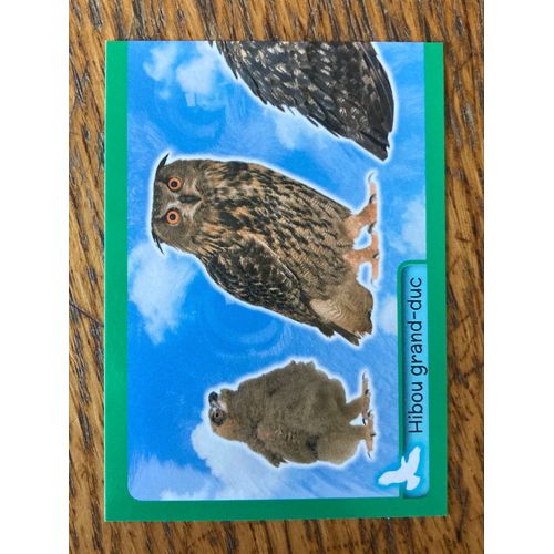 (404) Image Panini 279 Animaux 2014/2015